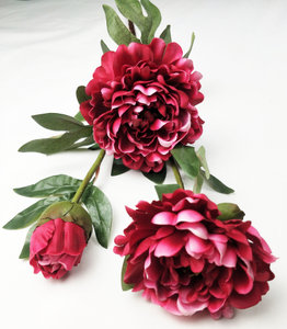 Peony-3T