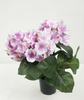 Hydrangea pot-5C
