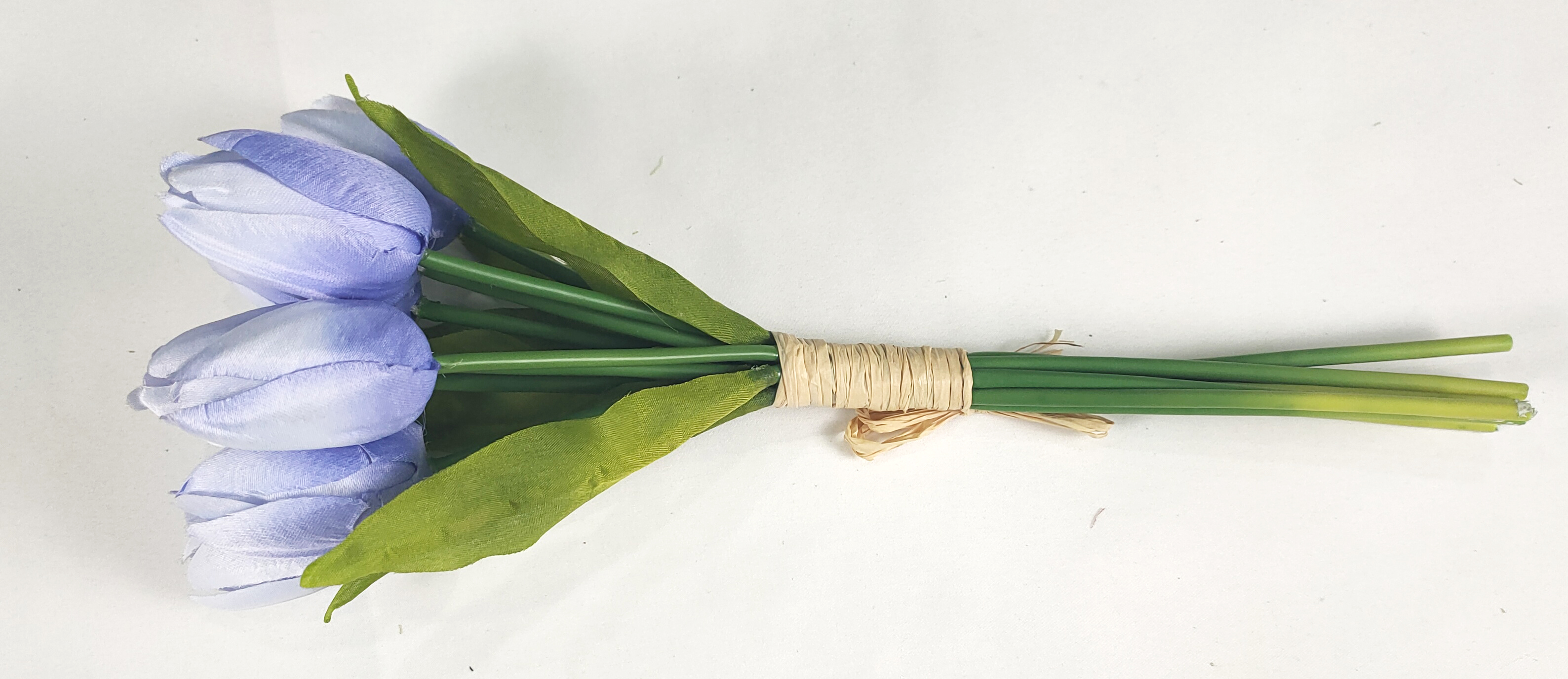 Tulip