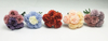 Small chrysanthemum ball-6T