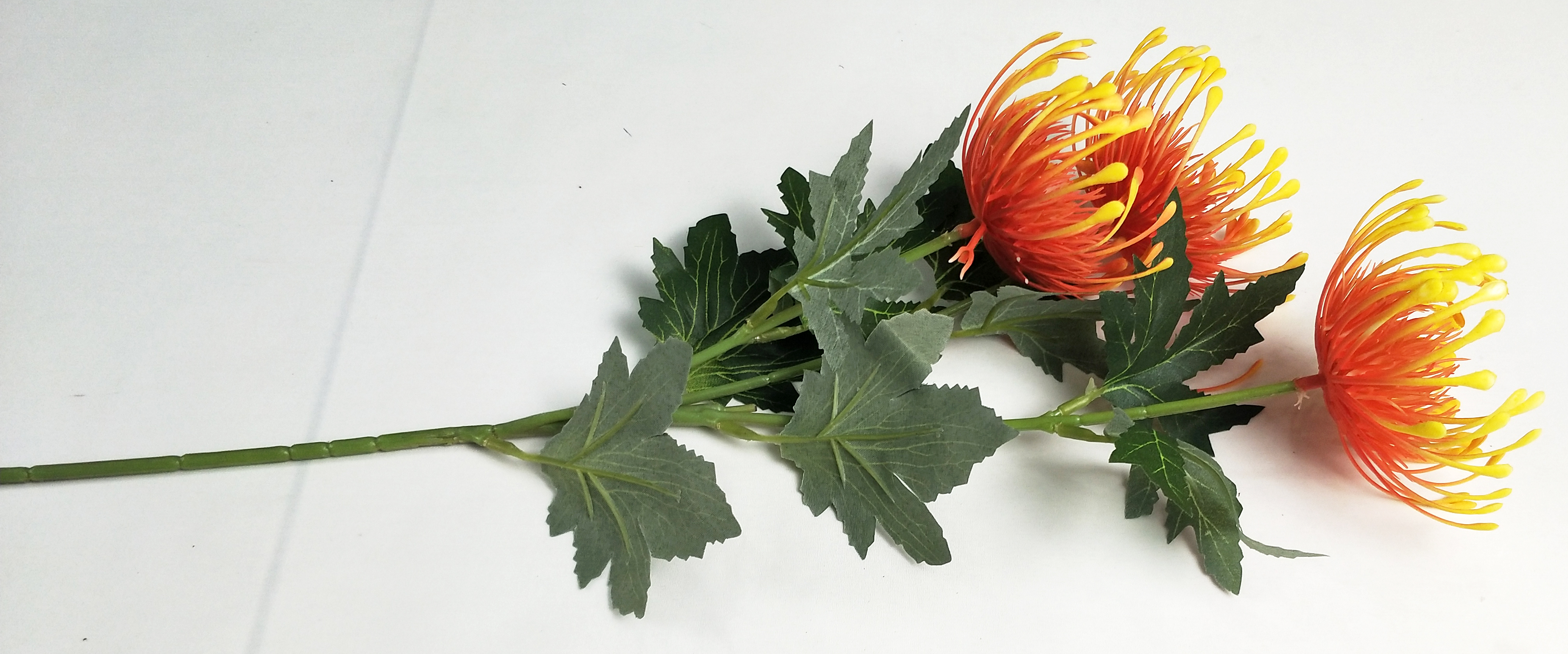Plastic chrysanthemum-3T