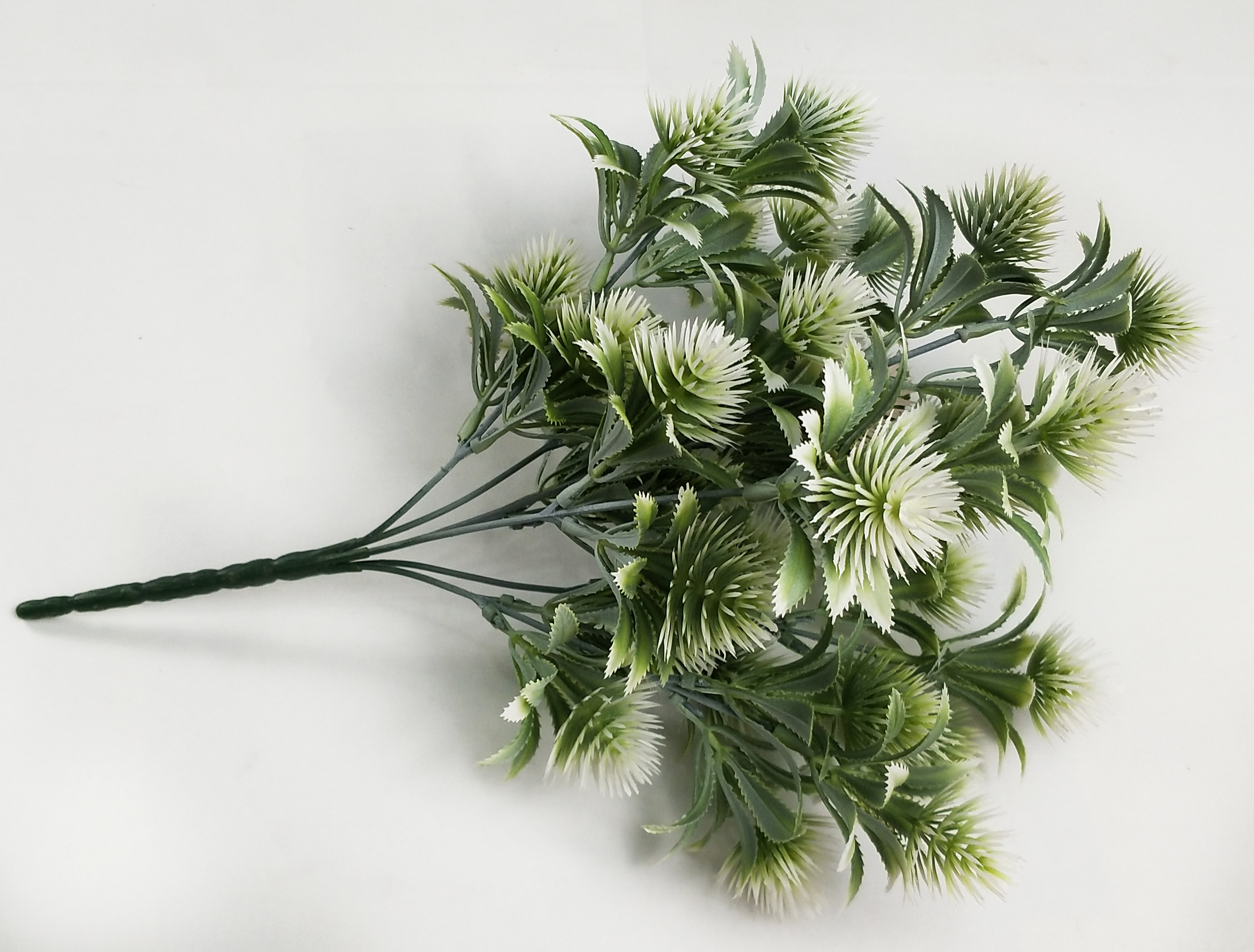 Pine
