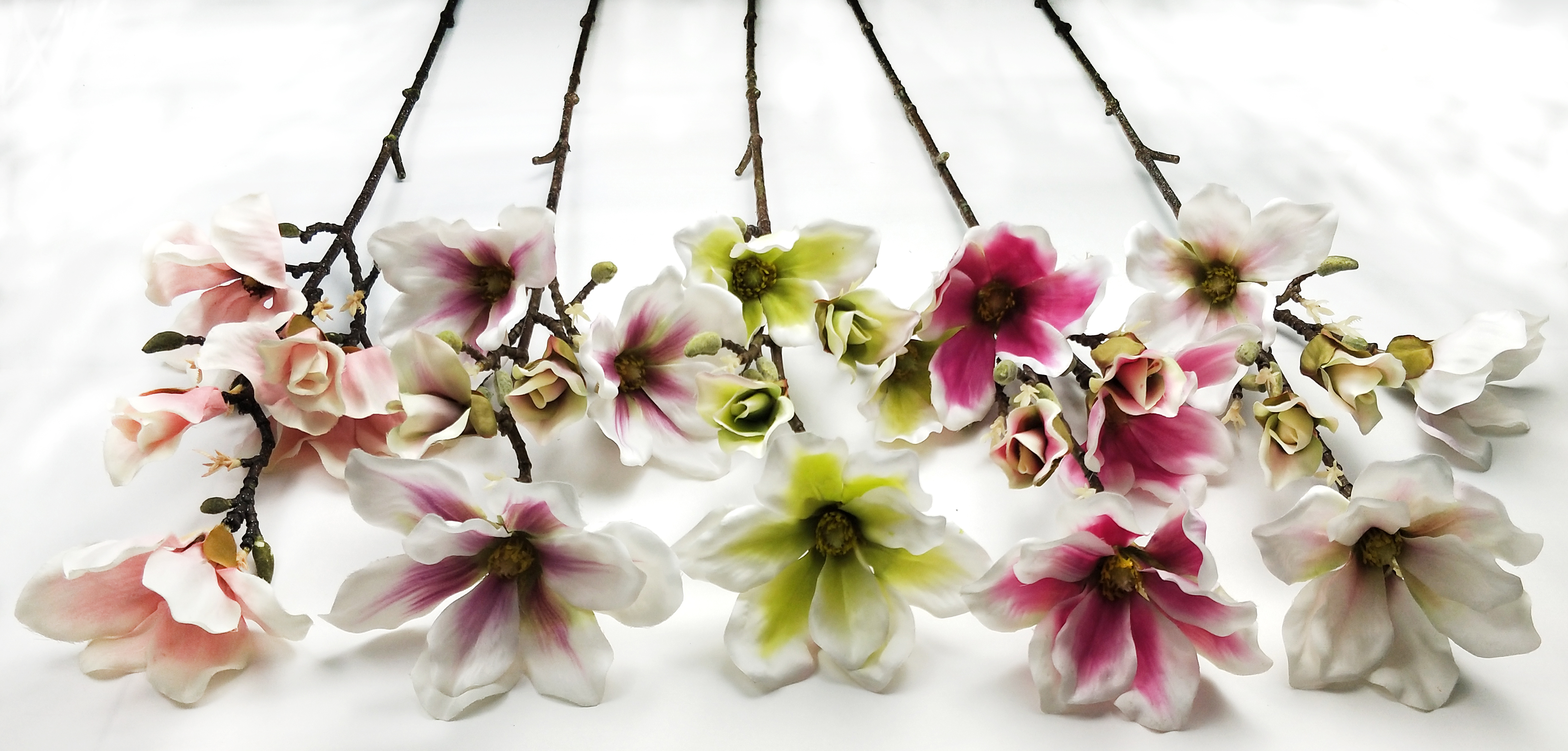 5 Plastic stem magnolias