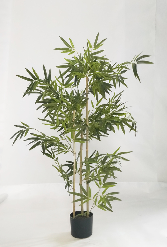 130cm Bamboo