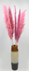 Reed