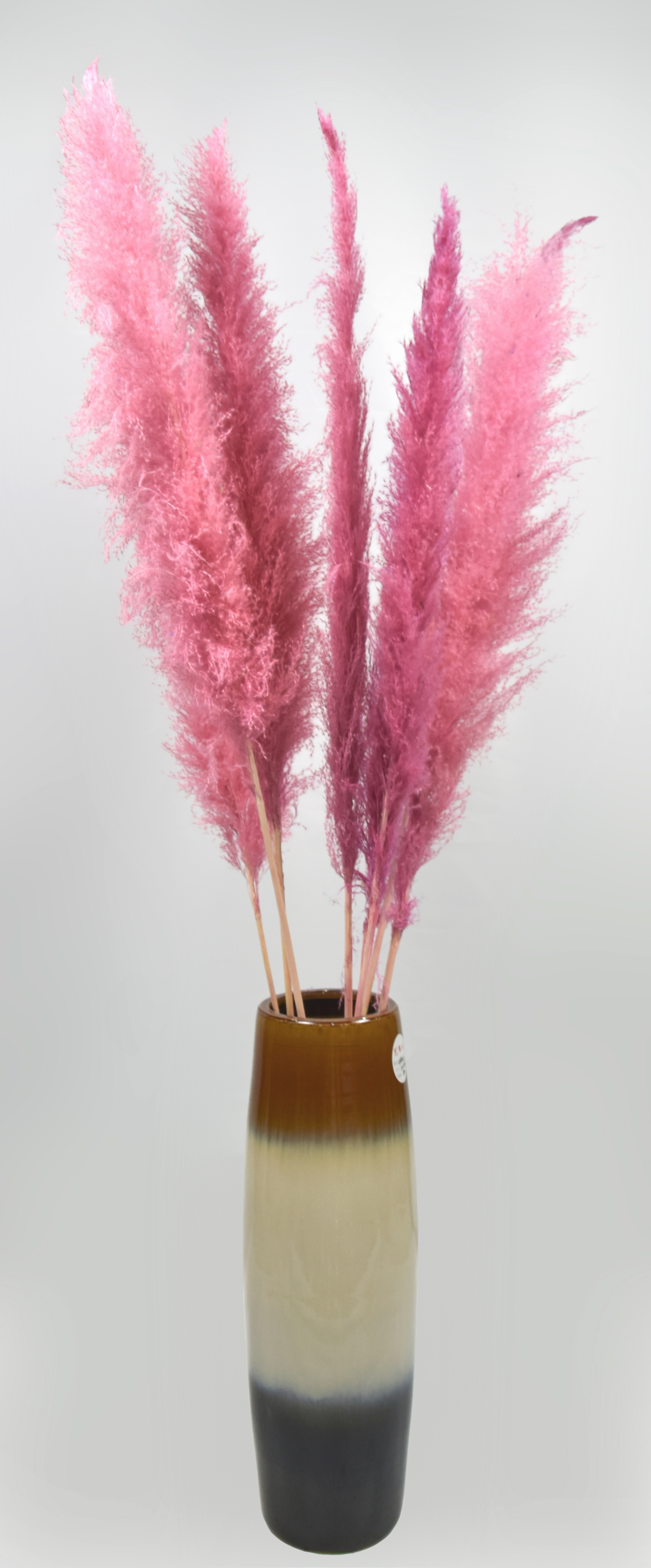 Reed