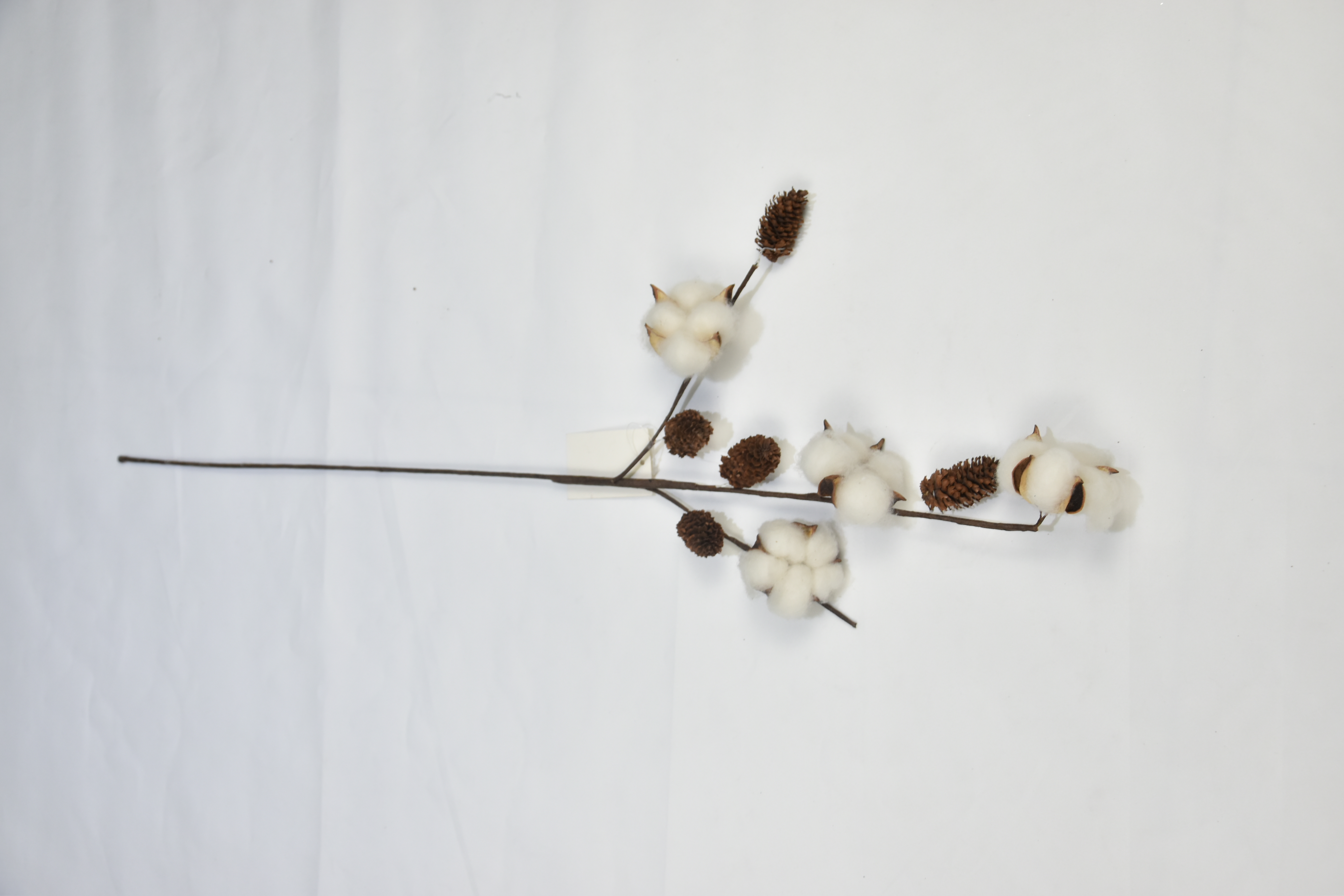4T-Cotton（Hazelnut）