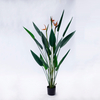 150cm Sky Bird with Flower