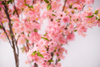 140cm Blossom