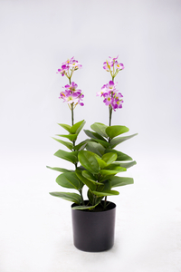 42cm Spring Blossom with Flowers