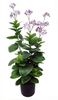 95cm Spring Blossom*Fls