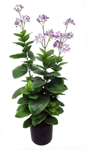 95cm Spring Blossom*Fls