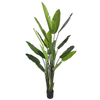 240cm Giant Bird of Paradise