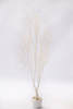 165cm White Plant