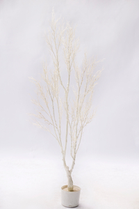 165cm White Plant