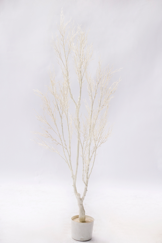 165cm White Plant