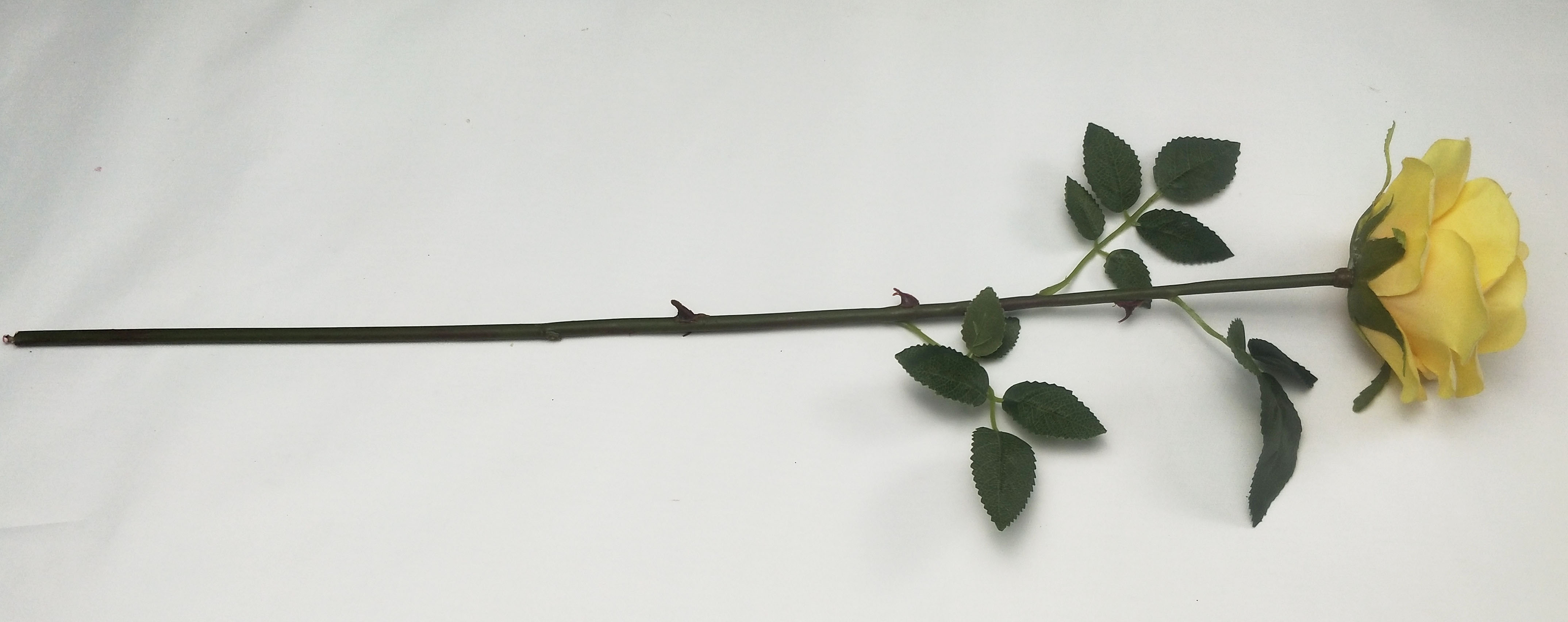 Single Middle Round Rose