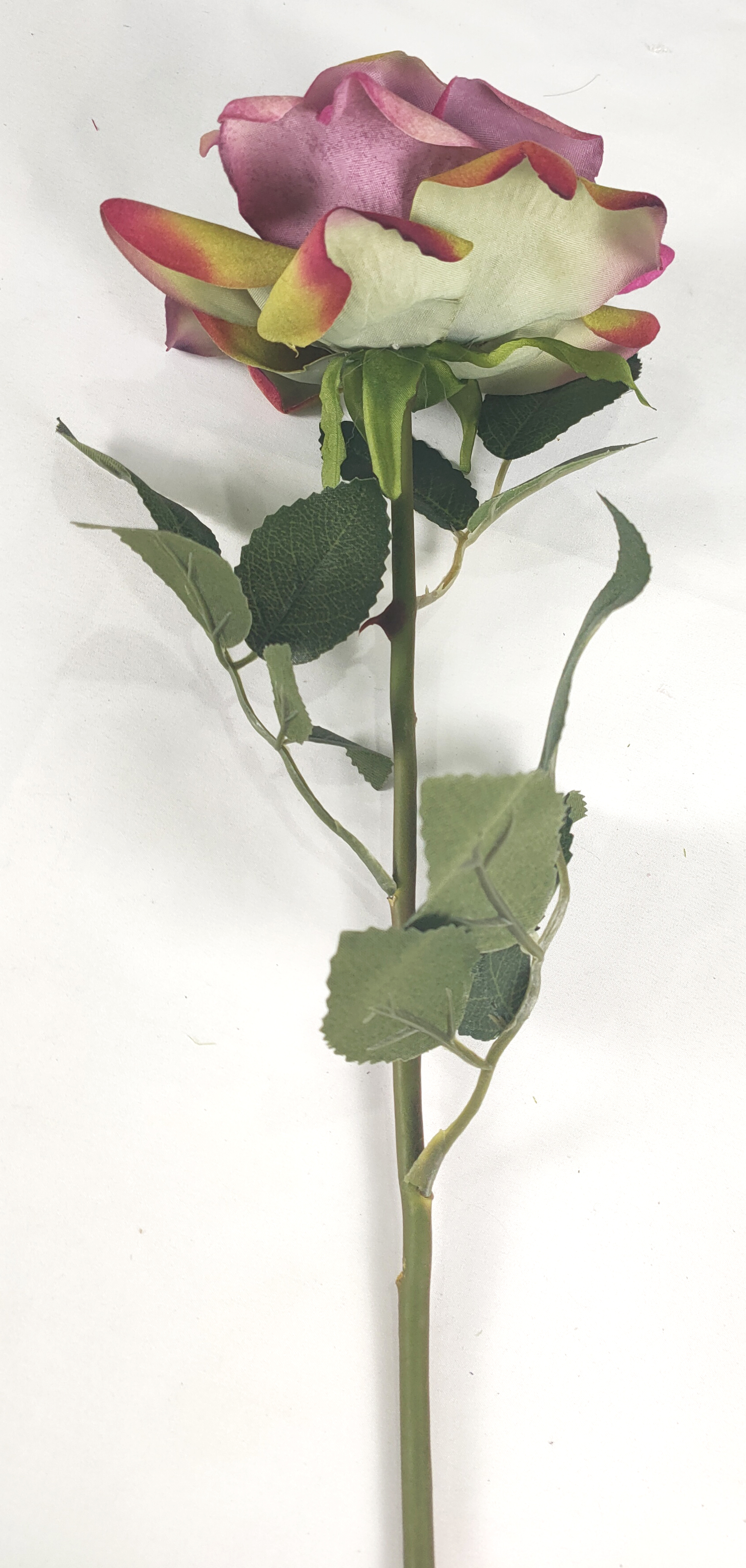 Single Lace Rose
