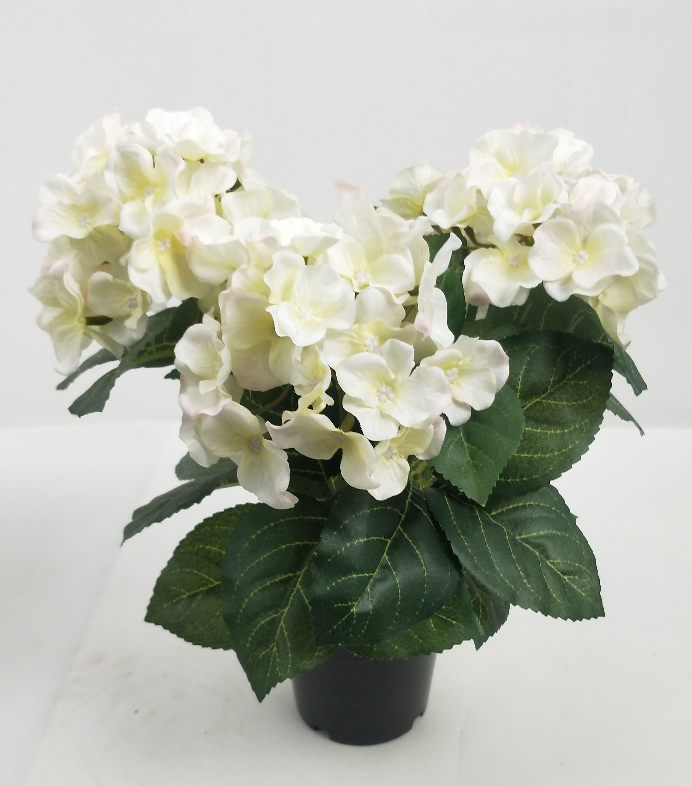 Hydrangea pot-5C
