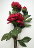 Peony-3T