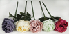 Dongting peony