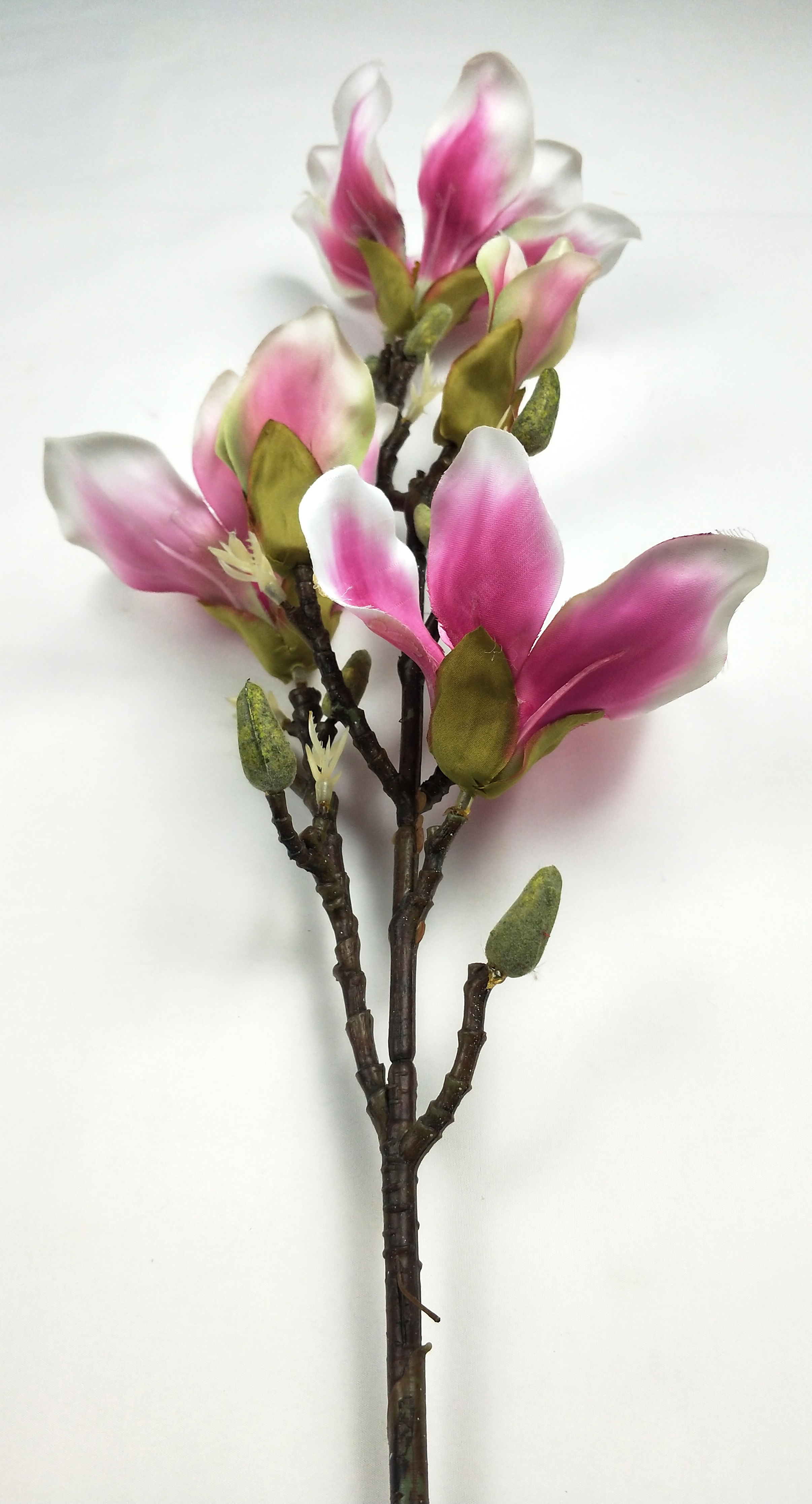 5 Plastic stem magnolias