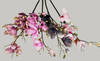 Single branch of magnolias