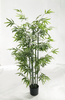 150cm Bamboo