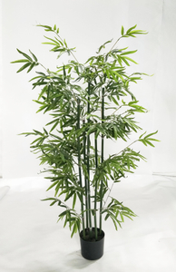 150cm Bamboo
