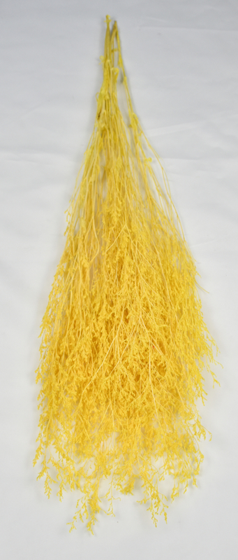 Lovergrass