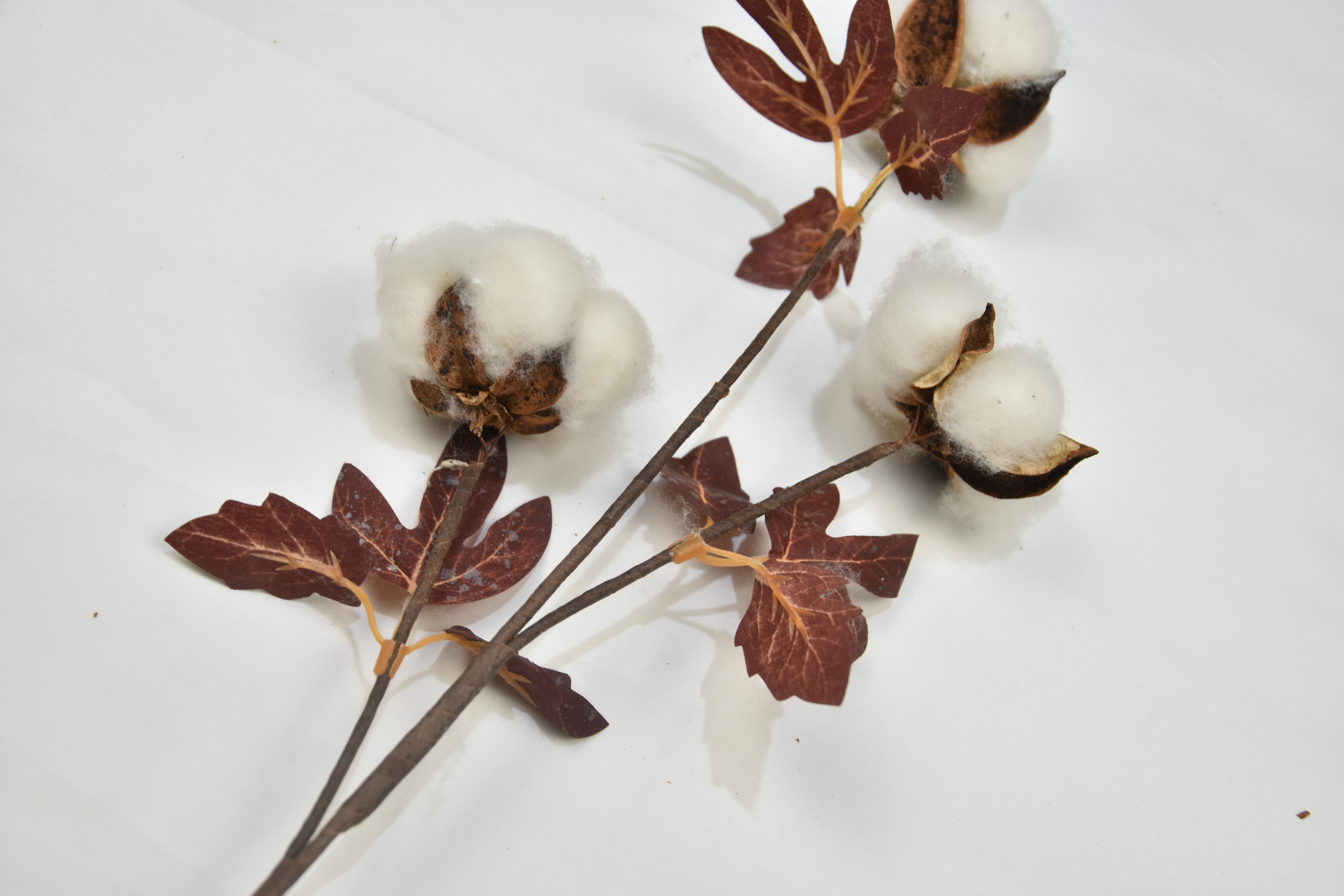 3T-Cotton