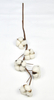 5T-Cotton