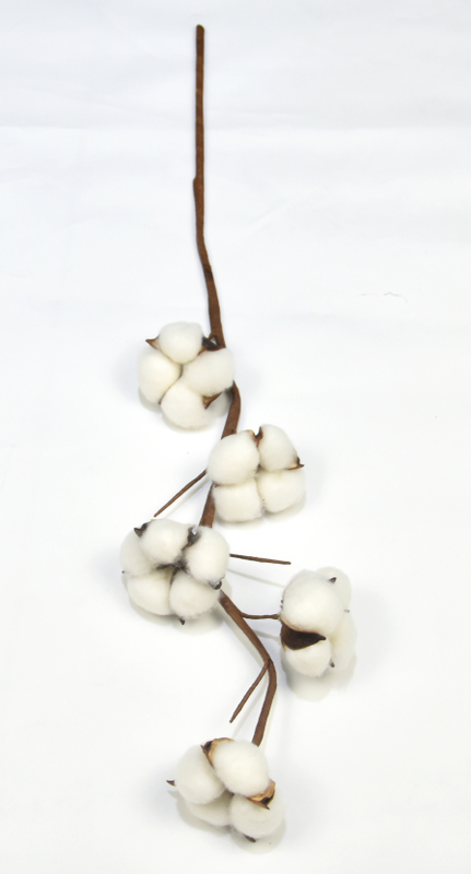 5T-Cotton