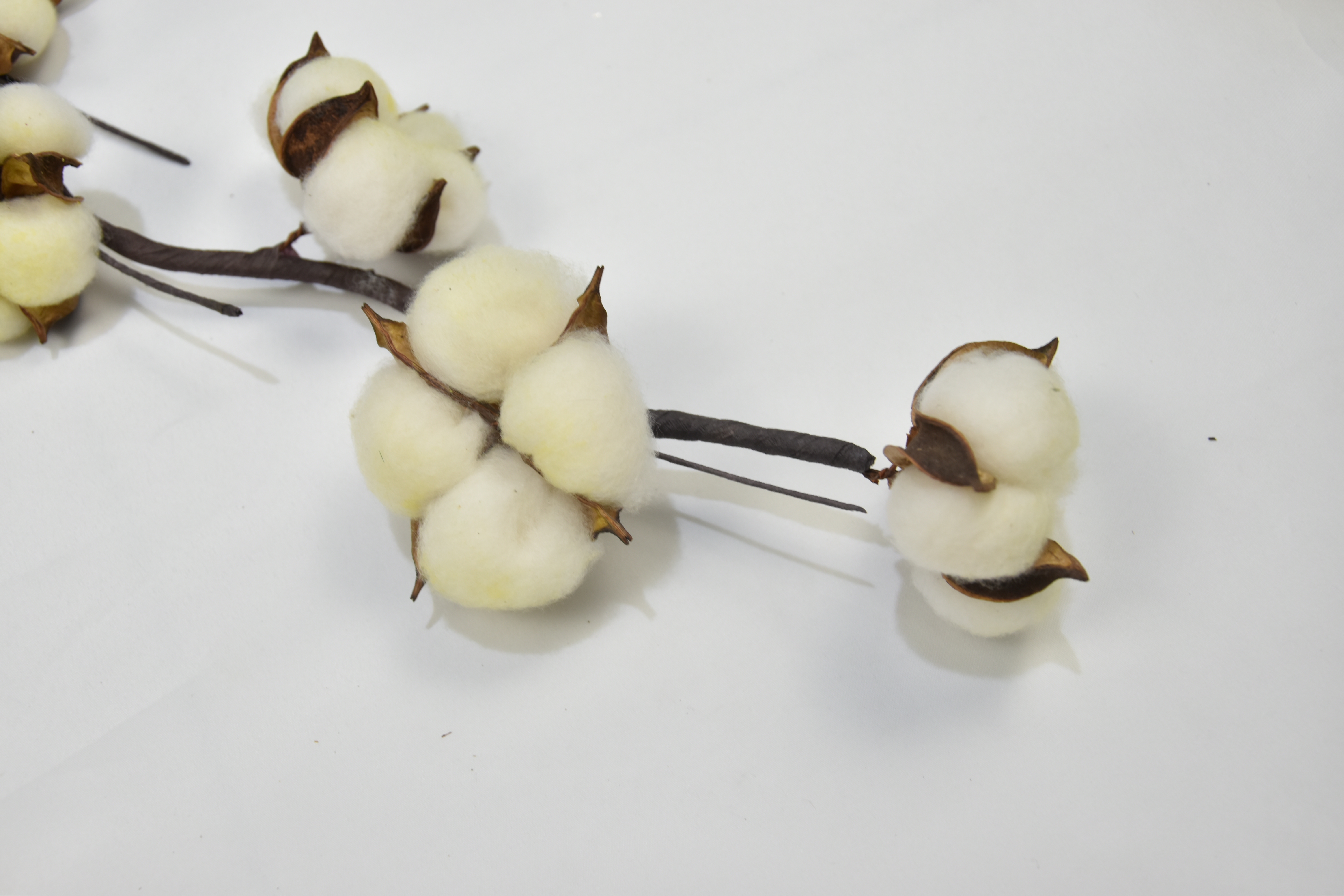 5T-Cotton