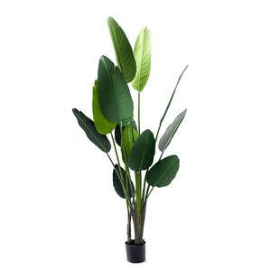 180cm Giant Bird of Paradise
