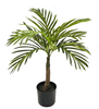 55cm B Mini Areca Palm