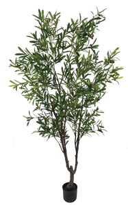 210cm Olive