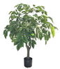 140cm Ficus