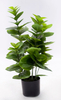 75cm Spring Blossom