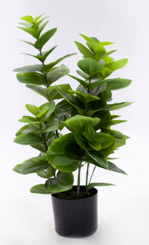 75cm Spring Blossom