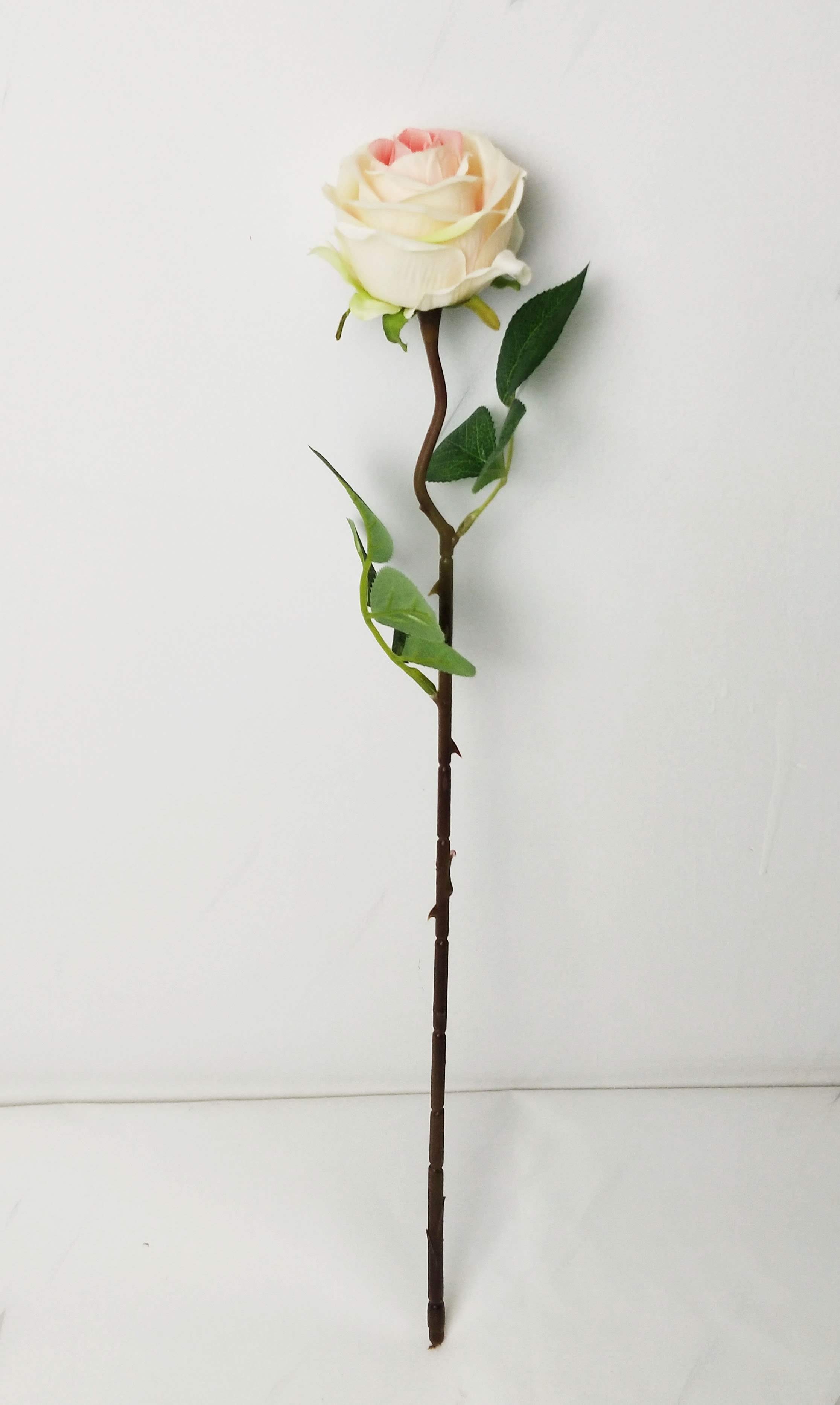 Single New Small Rose