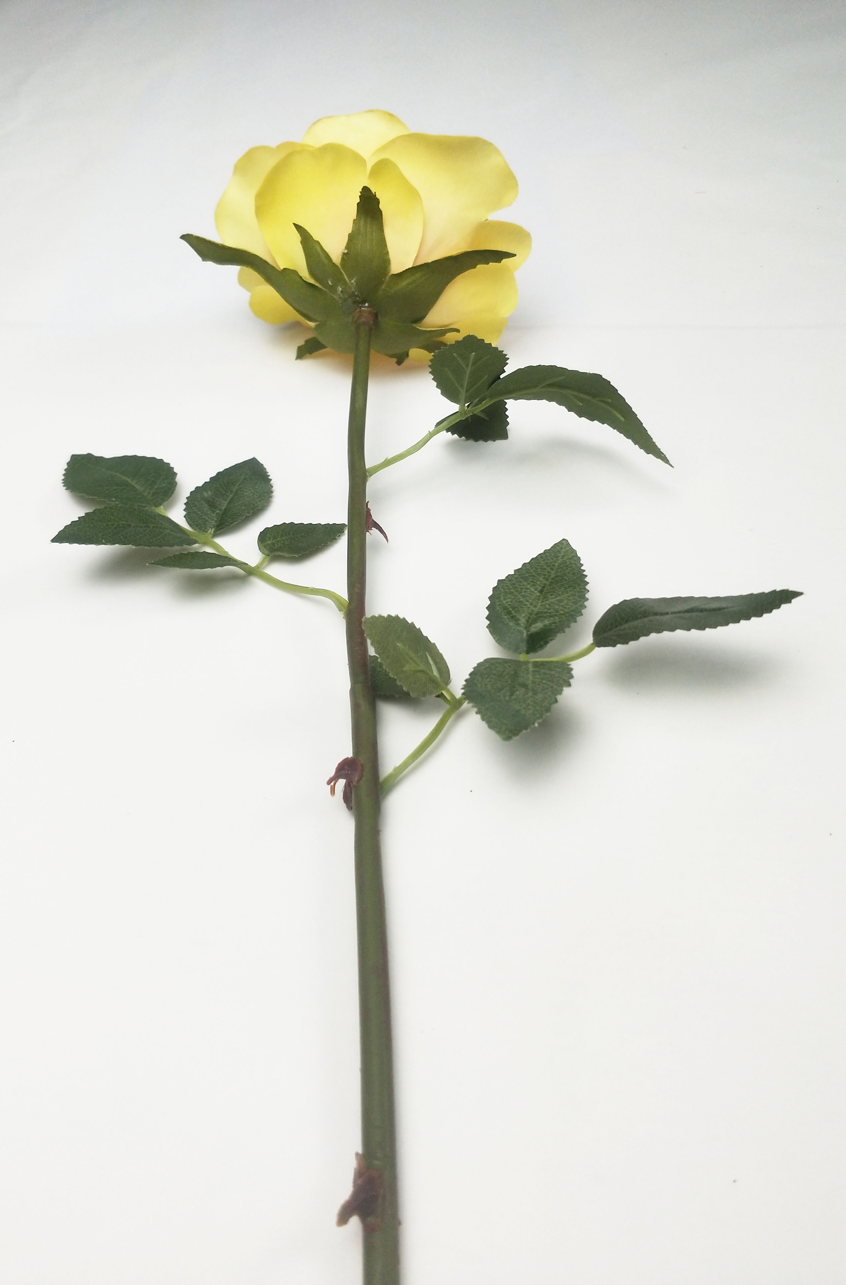 Single Middle Round Rose