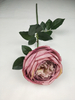 English Rose