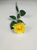 Single mini rose