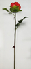 Single Small Round Rose