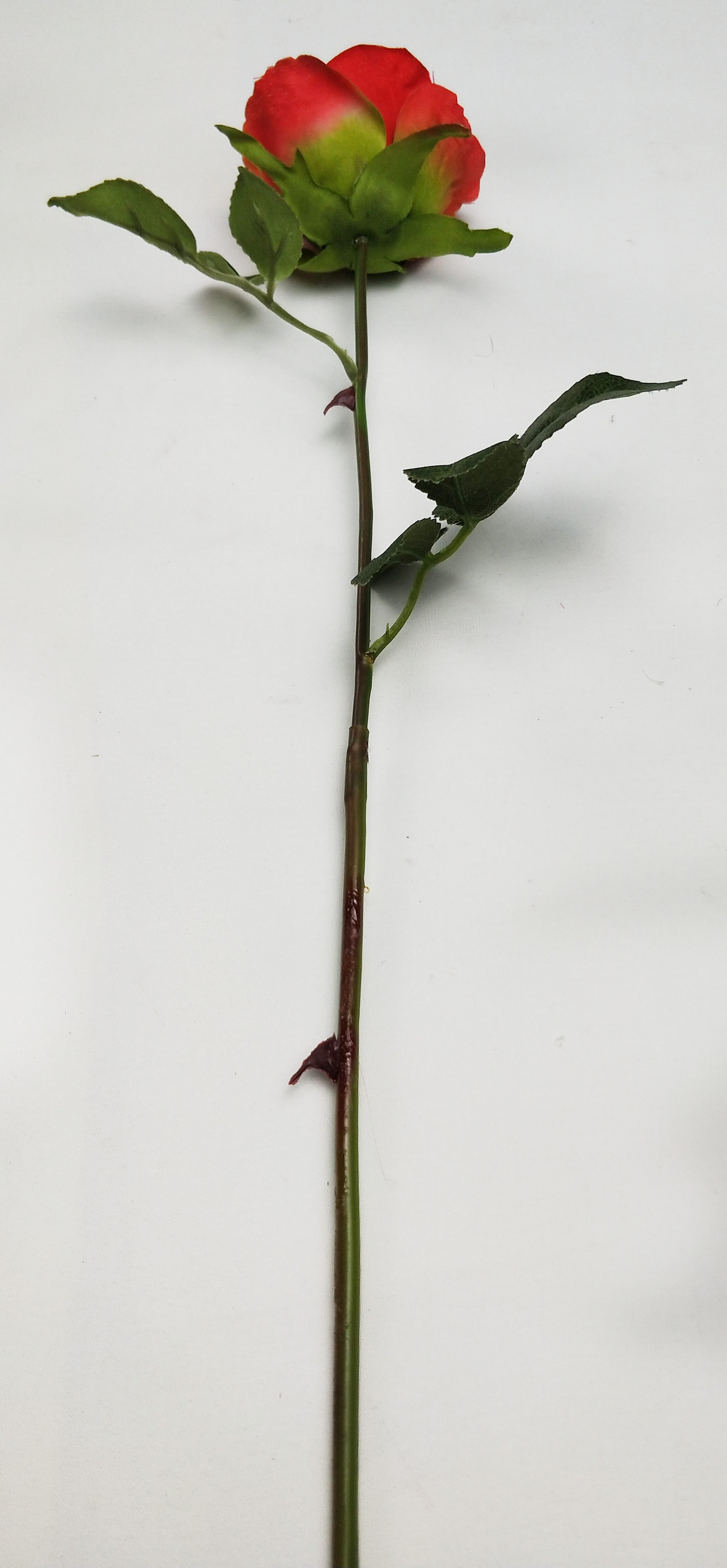 Single Small Round Rose