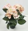 Hydrangea pot-5C