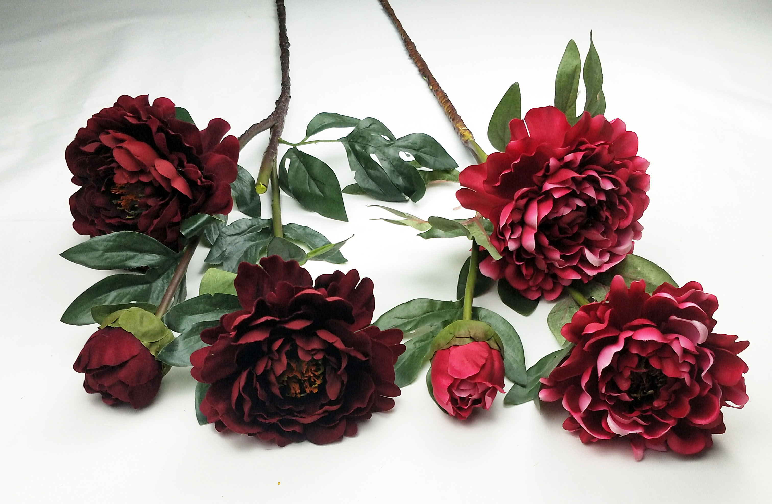 Peony-3T