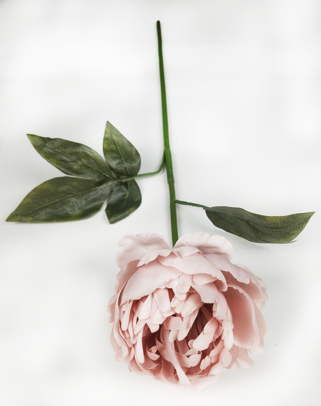 Dongting peony