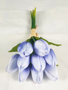 Tulip